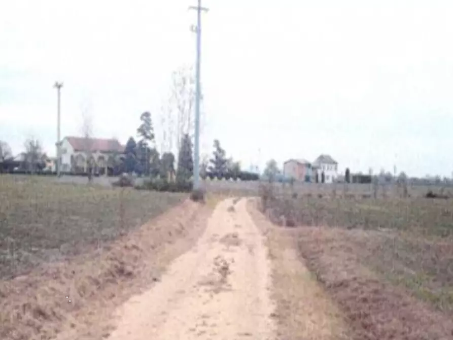 Immagine 3 di Terreno agricolo in vendita  in Via San Salvaro a Urbana