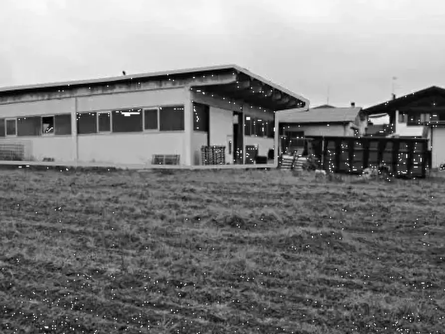Immagine 1 di Laboratorio in vendita  in Via Oppioli a Cerea
