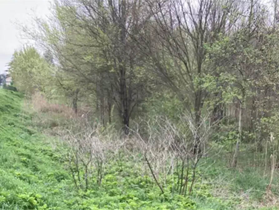 Immagine 8 di Terreno agricolo in vendita  in Località San Vito a Cerea
