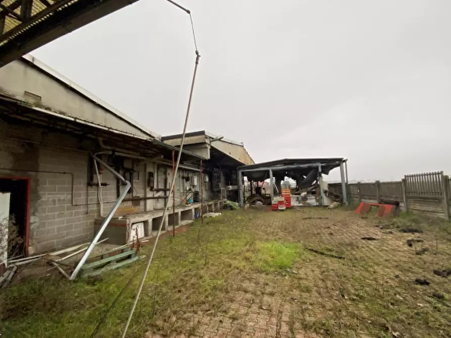 Immagine 1 di Terreno agricolo in vendita  in Via XXV Aprile a Albuzzano