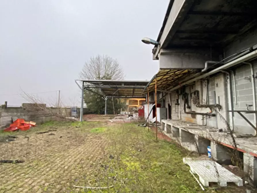 Immagine 3 di Terreno agricolo in vendita  in Via XXV Aprile a Albuzzano