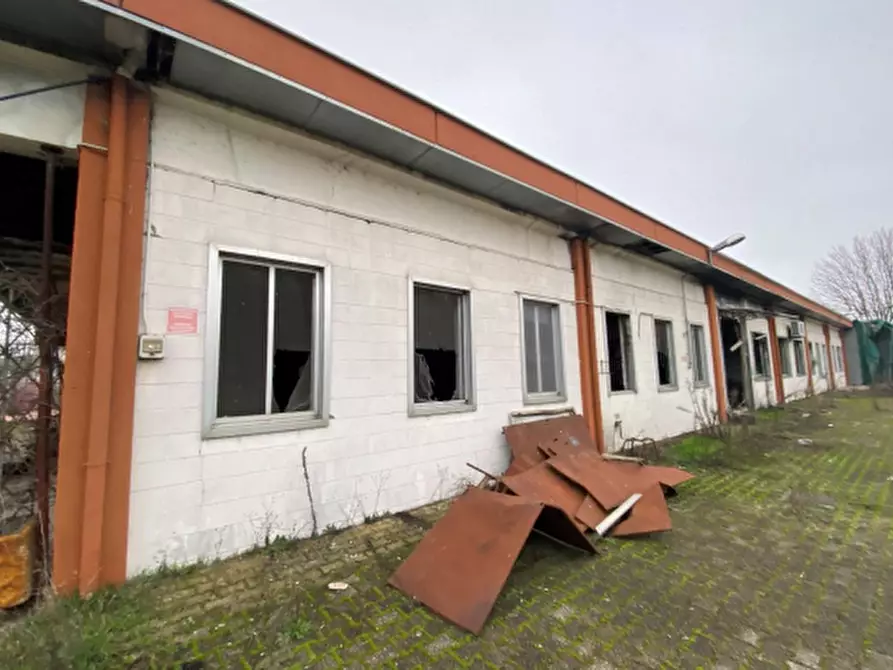 Immagine 9 di Terreno agricolo in vendita  in Via XXV Aprile a Albuzzano