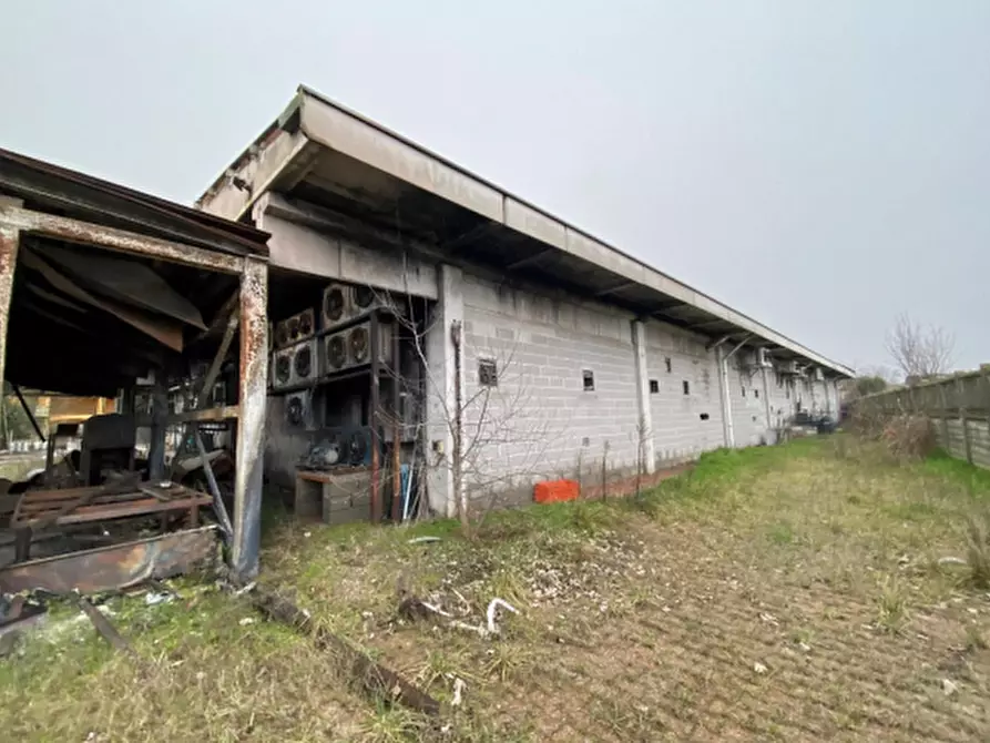 Immagine 11 di Terreno agricolo in vendita  in Via XXV Aprile a Albuzzano