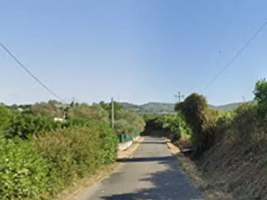 Immagine 7 di Terreno agricolo in vendita  in Via Vigne Nuove a Ariccia