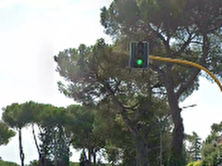 Immagine 4 di Villa in vendita  in Via Cesare Bazzani a Roma
