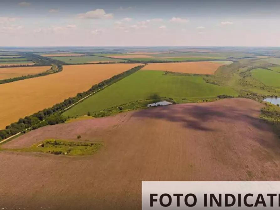 Immagine 2 di Terreno agricolo in vendita  in Via Campaccino a Angera
