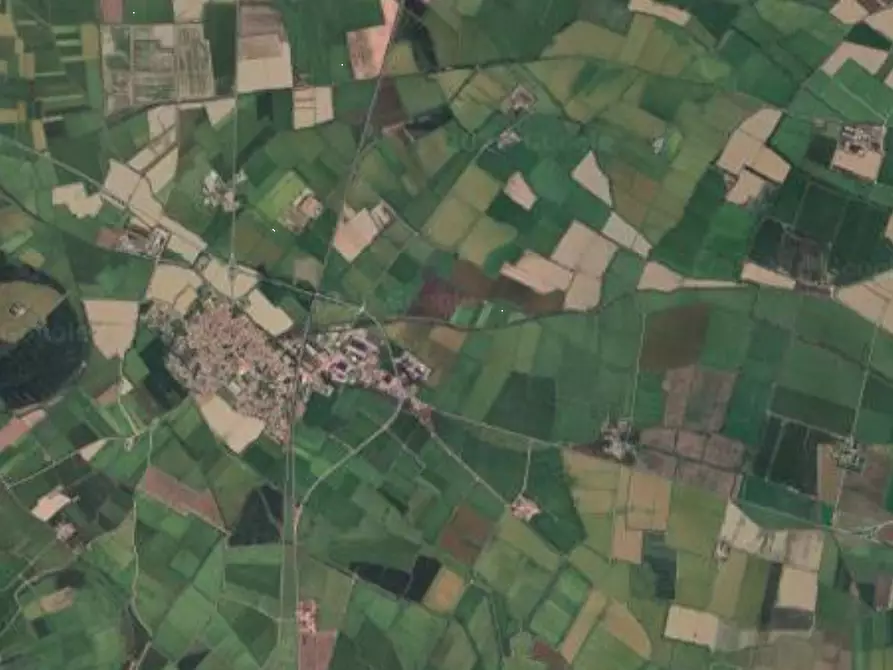 Immagine 5 di Terreno edificabile in vendita  in Strada provinciale 194  a Candia Lomellina