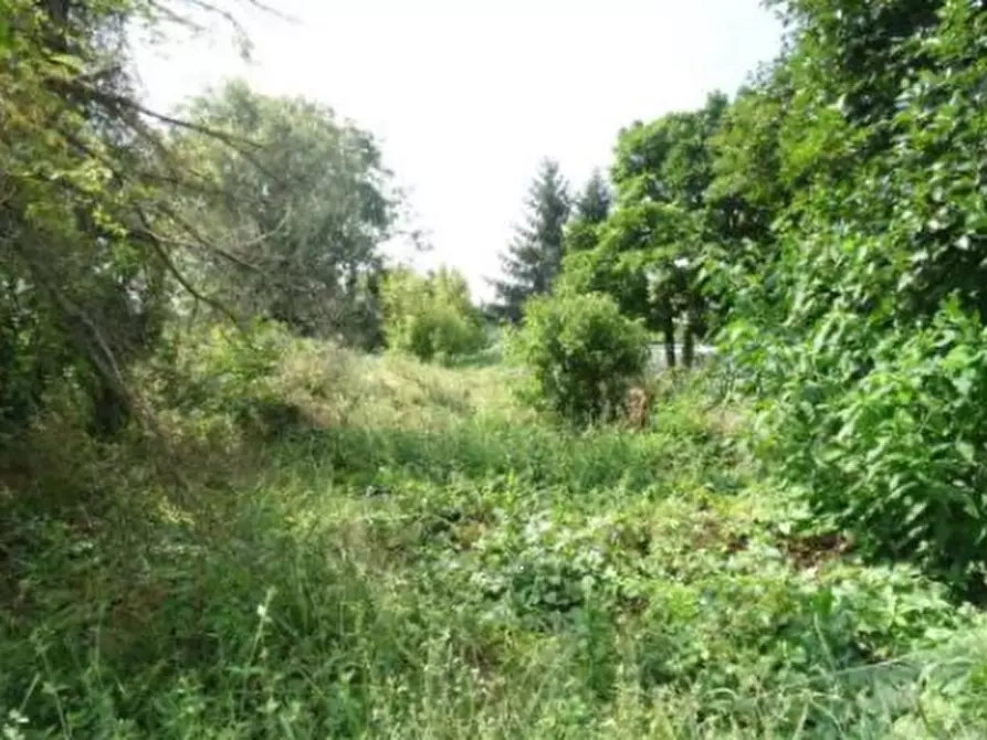 Immagine 7 di Casa indipendente in vendita  in Via Villa Biscossi a Galliavola