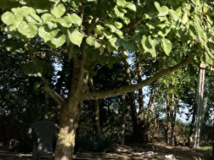 Immagine 10 di Casa indipendente in vendita  in Via Selice a Conselice