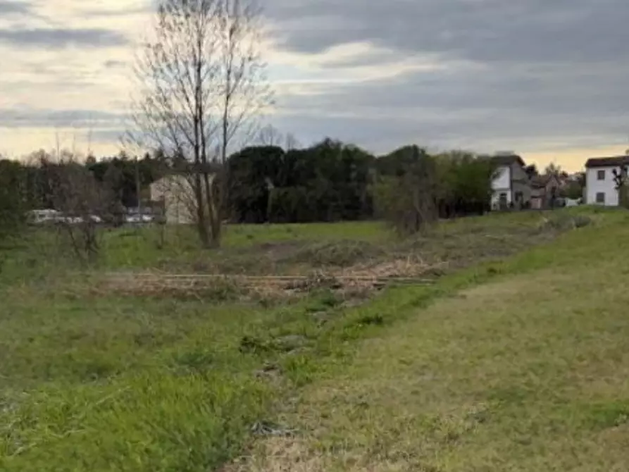 Immagine 4 di Terreno agricolo in vendita  in Via Bologna a Forli'
