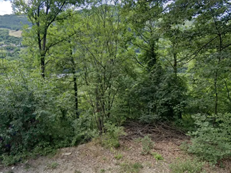 Immagine 4 di Terreno agricolo in vendita  in Via Radici Sud a Castellarano