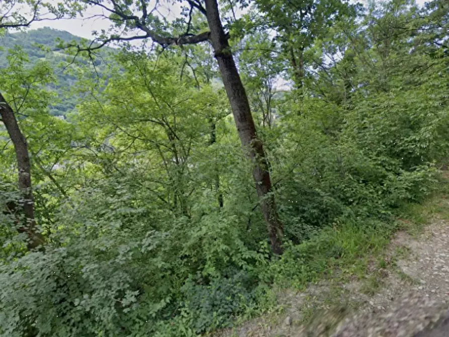 Immagine 5 di Terreno agricolo in vendita  in Via Radici Sud a Castellarano