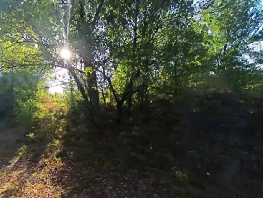 Immagine 2 di Terreno agricolo in vendita  in Via Stradone Secchia a Castellarano