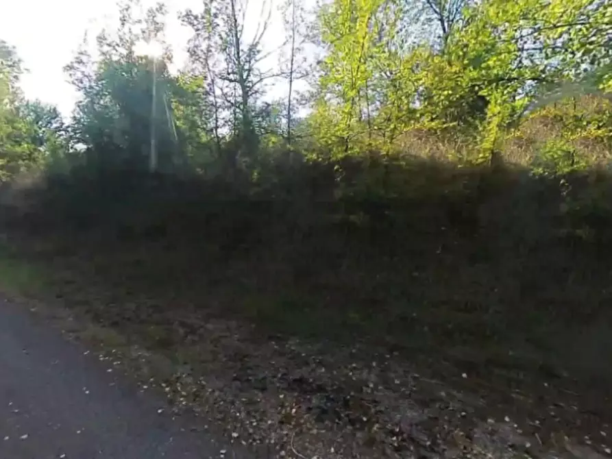 Immagine 3 di Terreno agricolo in vendita  in Via Stradone Secchia a Castellarano