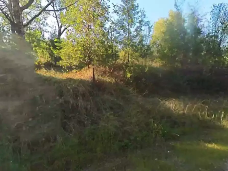 Immagine 4 di Terreno agricolo in vendita  in Via Stradone Secchia a Castellarano
