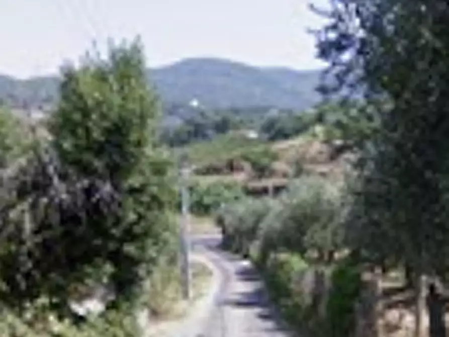 Immagine 9 di Appartamento in vendita  in Via Ponte Tre Armi a Genzano Di Roma