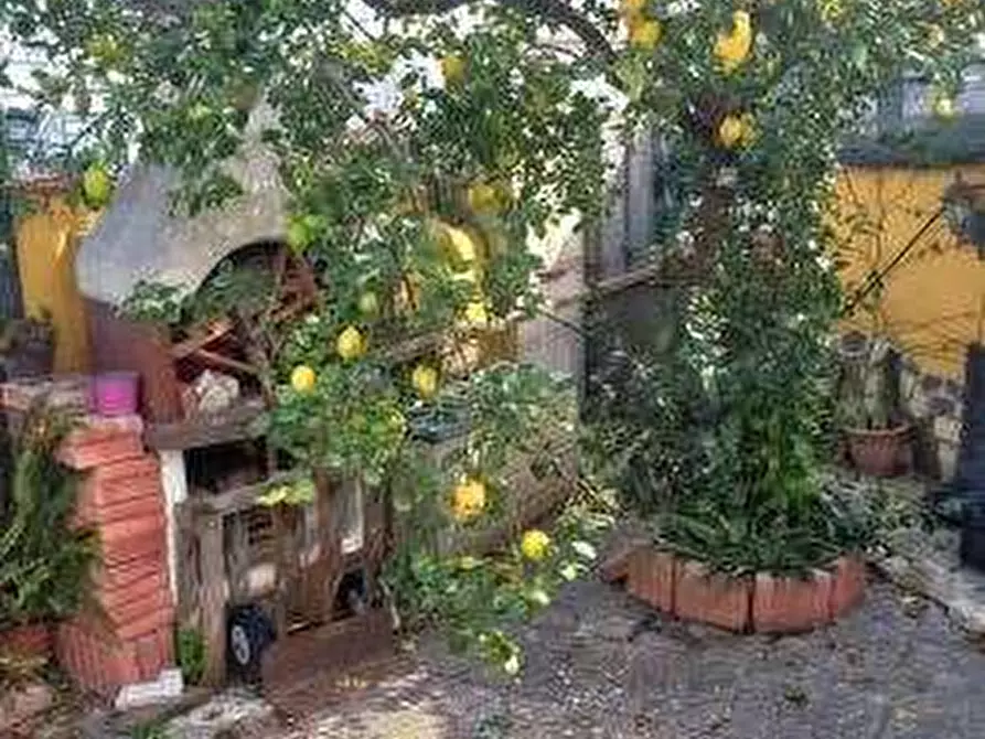 Immagine 5 di Appartamento in vendita  in Via Tirso a Pomezia