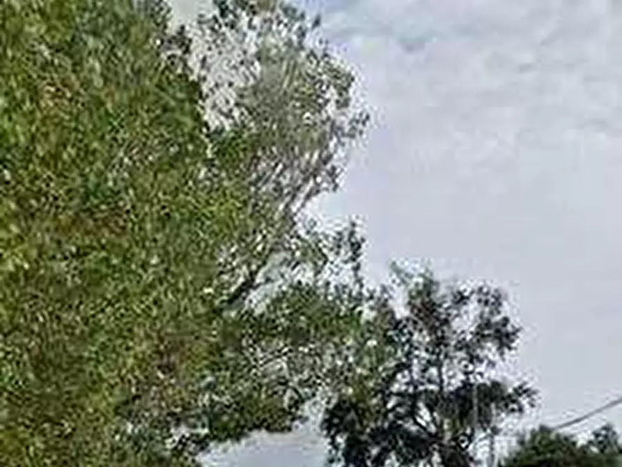 Immagine 6 di Appartamento in vendita  in Viale S. Lorenzo a Ardea