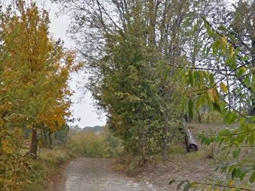 Immagine 10 di Casa indipendente in vendita  in Via Lamizze a Zocca