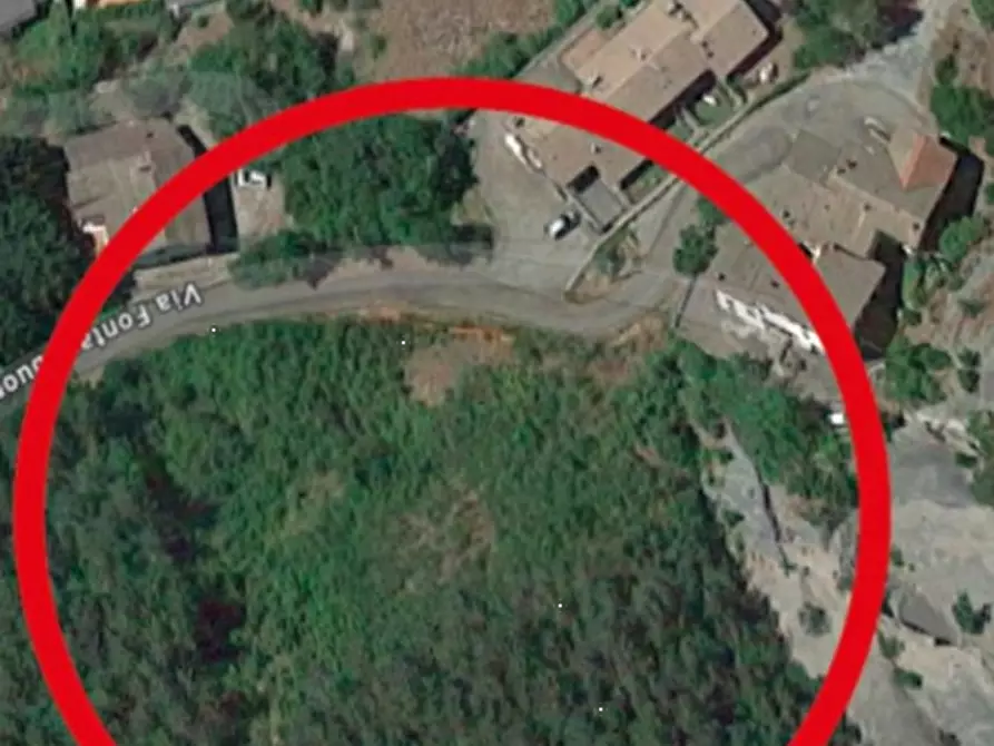 Immagine 2 di Terreno agricolo in vendita  in Via Fontanabuona a Riolunato