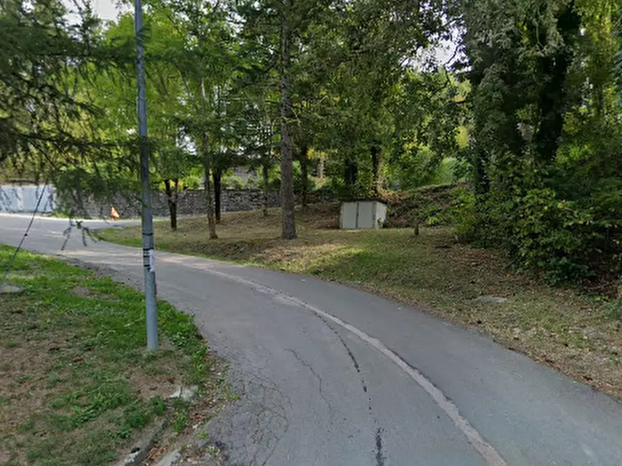 Immagine 4 di Terreno agricolo in vendita  in Via Fontanabuona a Riolunato