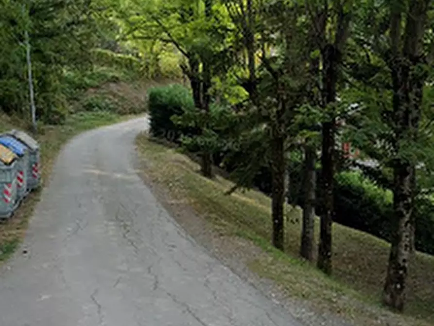 Immagine 5 di Terreno agricolo in vendita  in Via Fontanabuona a Riolunato