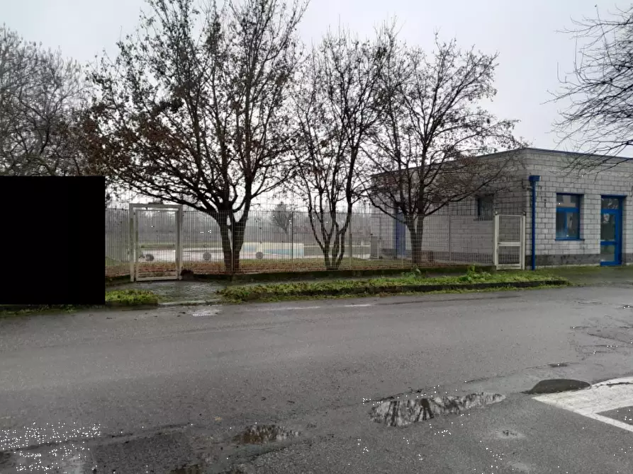 Immagine 5 di Capannone industriale in vendita  in Via Alessandro Pertini  a Pinarolo Po