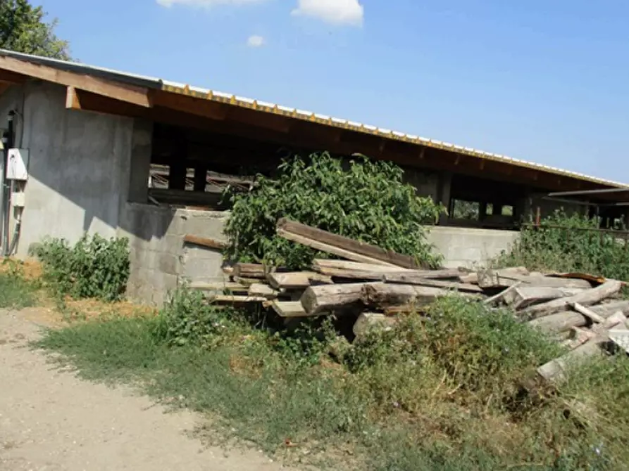 Immagine 1 di Azienda agricola in vendita  in Cascina Aurora  a Pieve Del Cairo