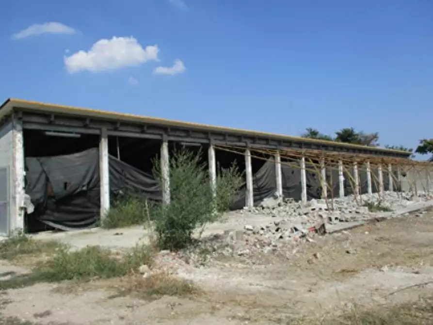 Immagine 2 di Azienda agricola in vendita  in Cascina Aurora  a Pieve Del Cairo