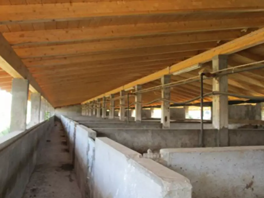 Immagine 5 di Azienda agricola in vendita  in Cascina Aurora  a Pieve Del Cairo
