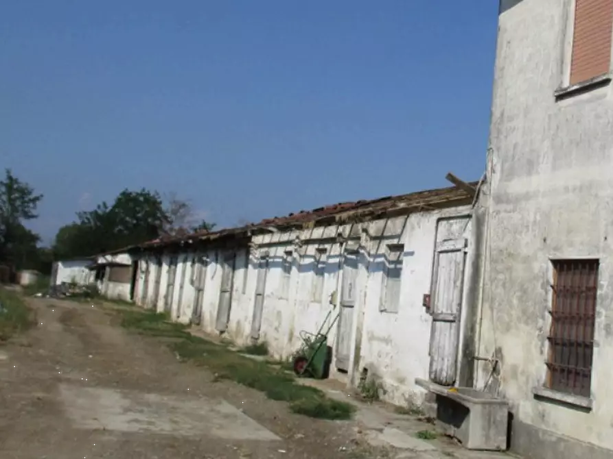 Immagine 6 di Azienda agricola in vendita  in Cascina Aurora  a Pieve Del Cairo