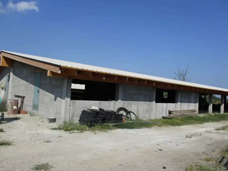 Immagine 7 di Azienda agricola in vendita  in Cascina Aurora  a Pieve Del Cairo