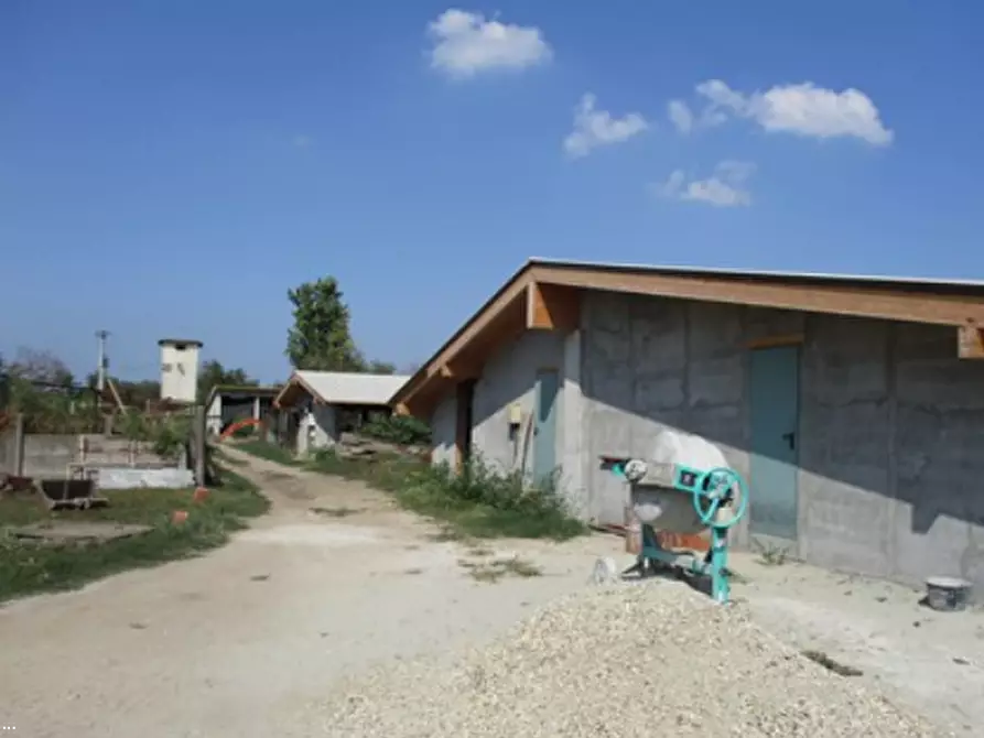 Immagine 8 di Azienda agricola in vendita  in Cascina Aurora  a Pieve Del Cairo