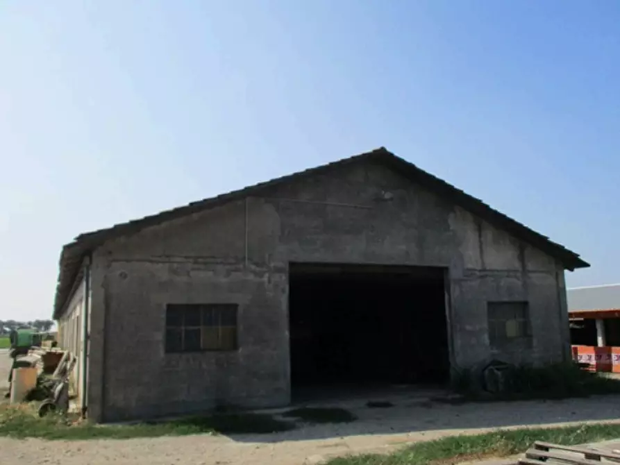Immagine 9 di Azienda agricola in vendita  in Cascina Aurora  a Pieve Del Cairo