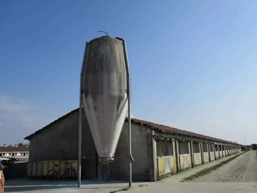 Immagine 10 di Azienda agricola in vendita  in Cascina Aurora  a Pieve Del Cairo