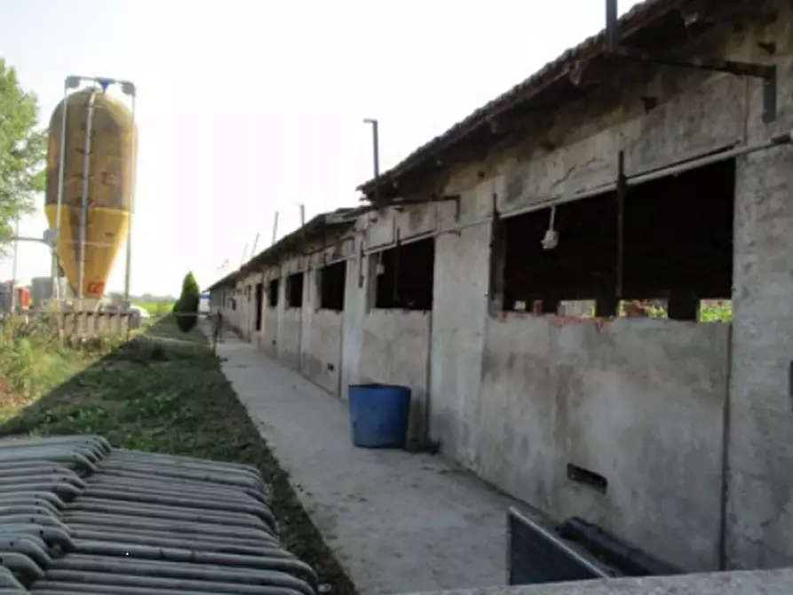 Immagine 11 di Azienda agricola in vendita  in Cascina Aurora  a Pieve Del Cairo