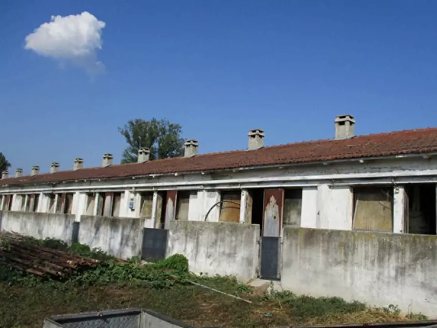 Immagine 12 di Azienda agricola in vendita  in Cascina Aurora  a Pieve Del Cairo