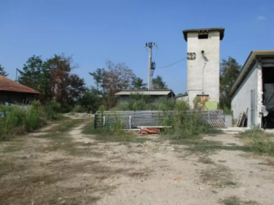 Immagine 13 di Azienda agricola in vendita  in Cascina Aurora  a Pieve Del Cairo