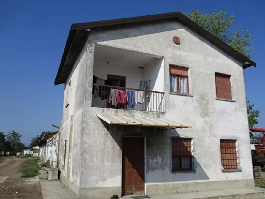 Immagine 14 di Azienda agricola in vendita  in Cascina Aurora  a Pieve Del Cairo