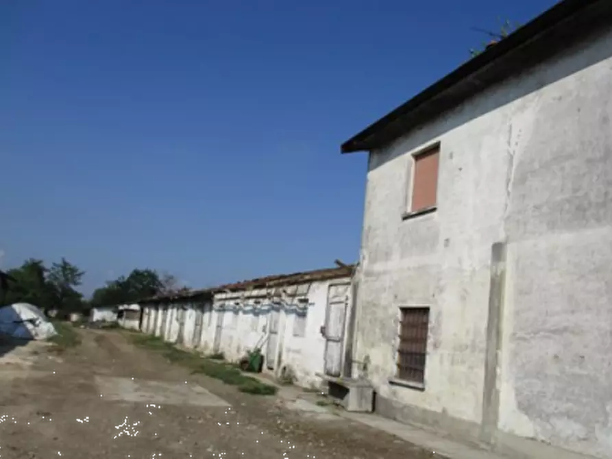 Immagine 15 di Azienda agricola in vendita  in Cascina Aurora  a Pieve Del Cairo