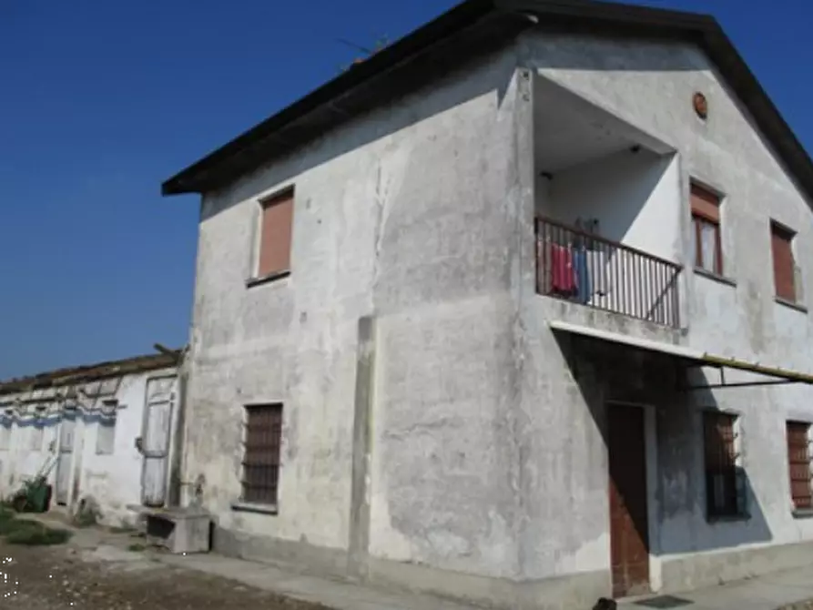 Immagine 16 di Azienda agricola in vendita  in Cascina Aurora  a Pieve Del Cairo