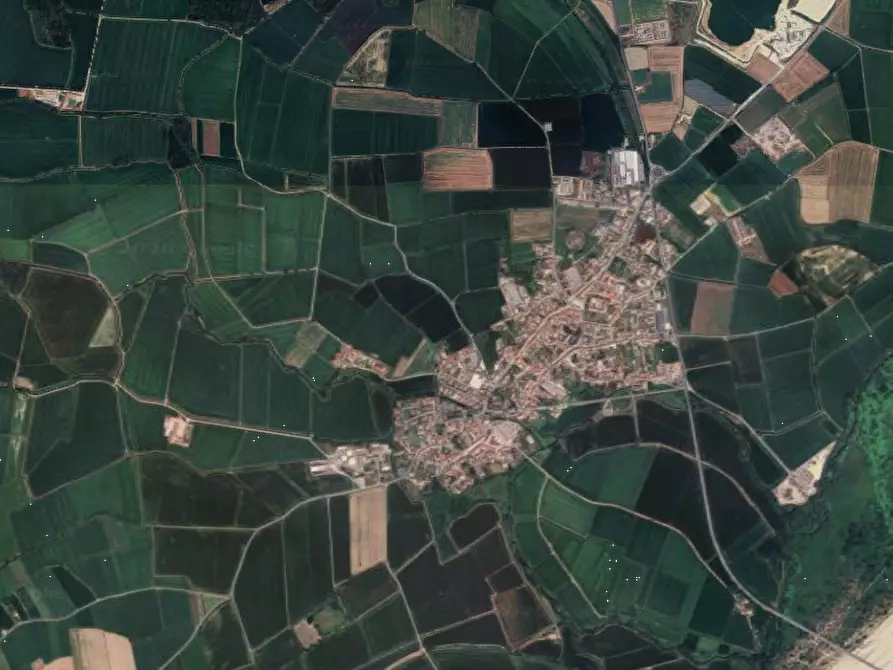 Immagine 17 di Azienda agricola in vendita  in Cascina Aurora  a Pieve Del Cairo