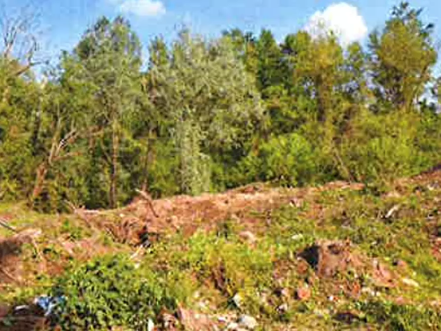 Immagine 1 di Terreno agricolo in vendita  in Via delle Cave a Meda