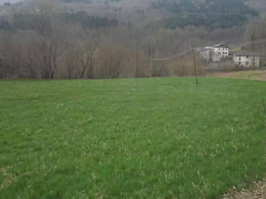 Immagine 5 di Terreno edificabile in vendita  in Via Radici a Pievepelago
