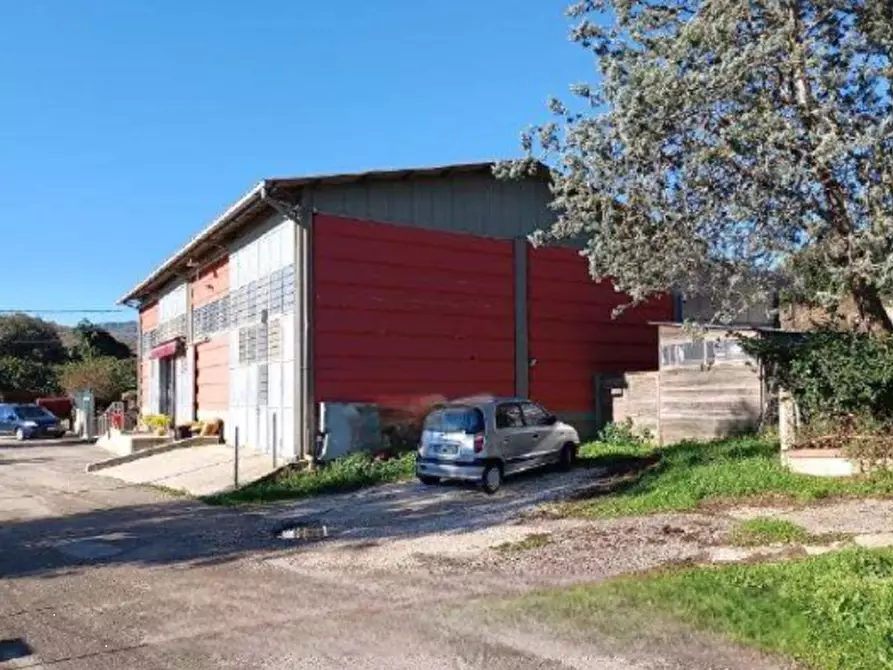 Immagine 1 di Laboratorio in vendita  in Via S. Benedetto a Colleferro