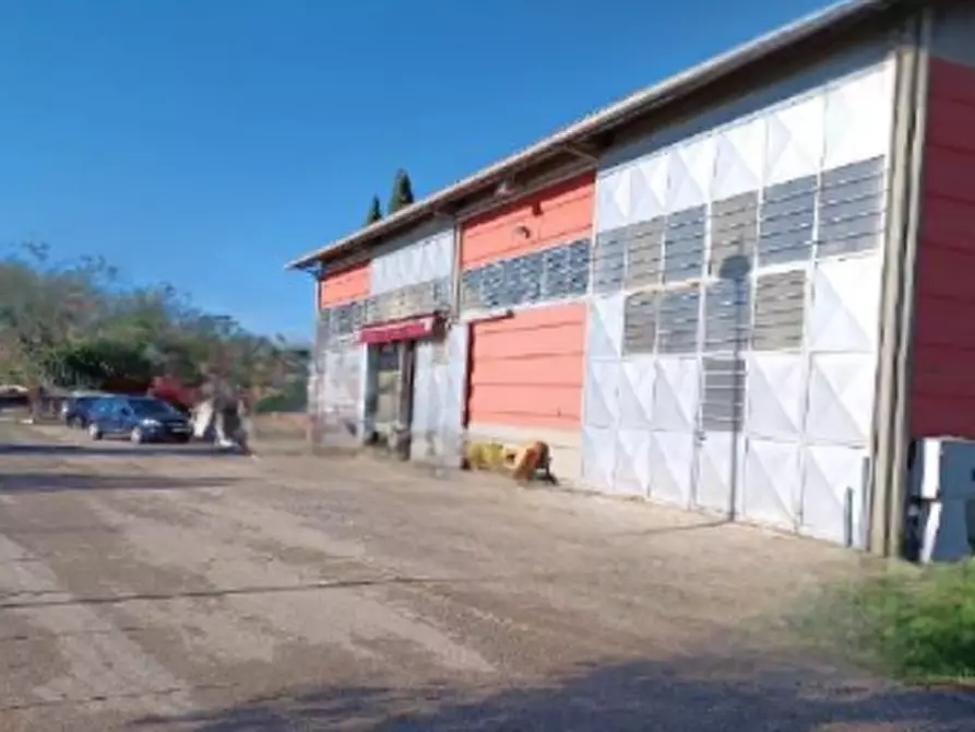 Immagine 3 di Laboratorio in vendita  in Via S. Benedetto a Colleferro