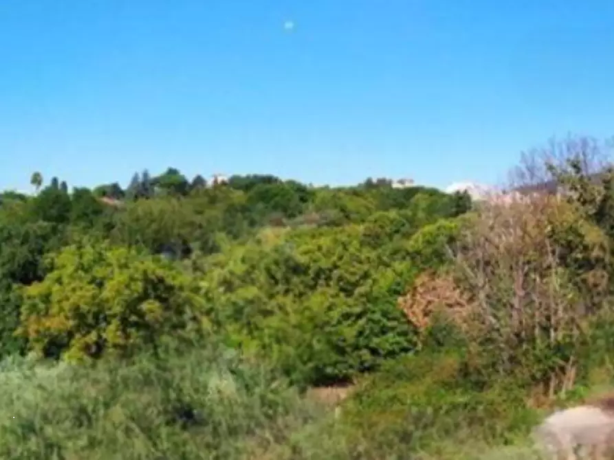 Immagine 1 di Terreno agricolo in vendita  in Via della Pallade a Velletri