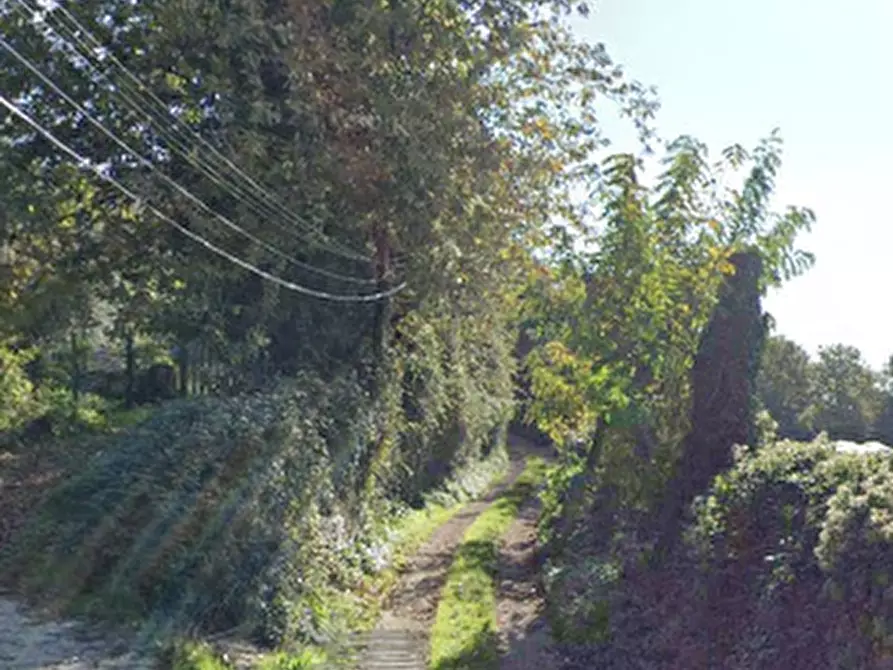 Immagine 2 di Terreno agricolo in vendita  in Via della Pallade a Velletri