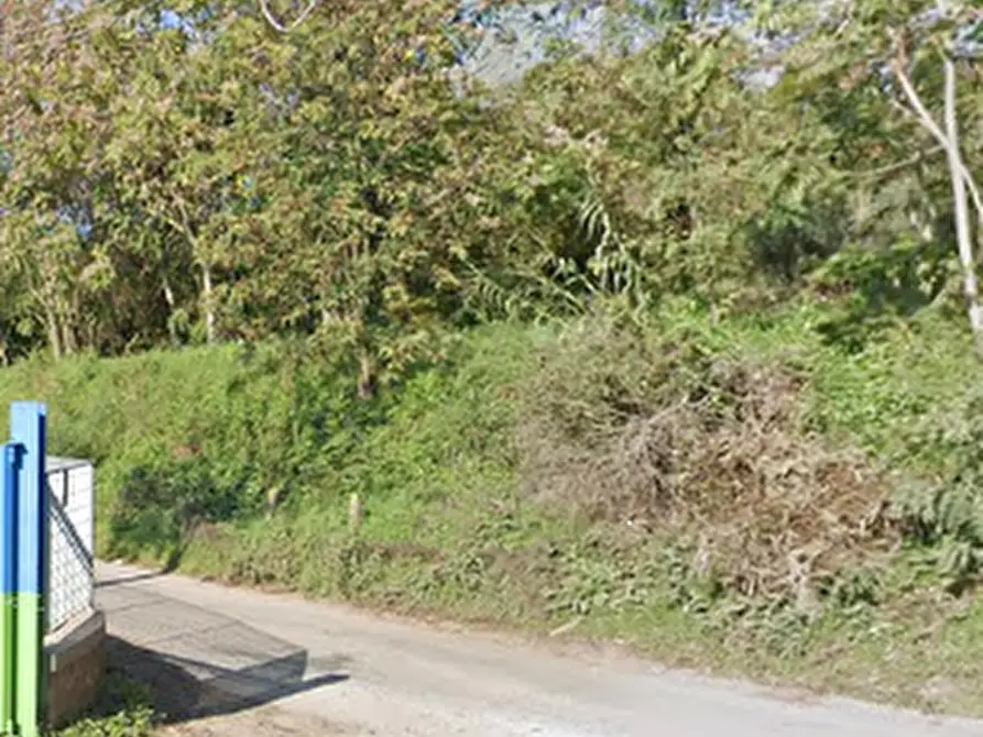 Immagine 3 di Terreno agricolo in vendita  in Via della Pallade a Velletri