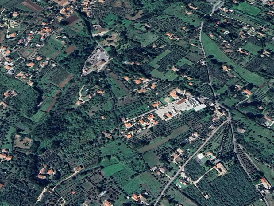 Immagine 5 di Terreno agricolo in vendita  in Via della Pallade a Velletri